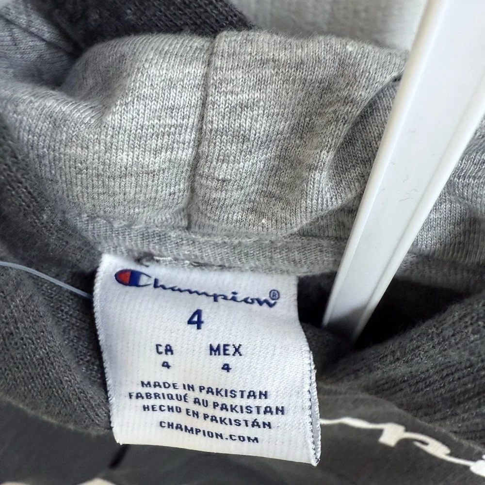 Champion hoodie joggers